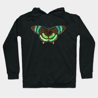 Green-banded tailed butterfly Hoodie